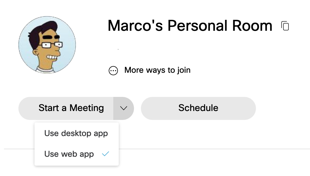 Use Virtual Camera with ex Meetings web app in Firefox browser Marco